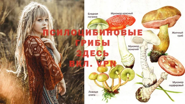гашиш Зеленокумск