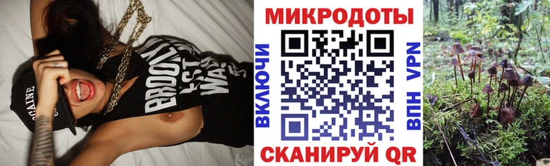 Купить закладки  Чаплыгин  Псилоцибиновые грибы ЛСД 